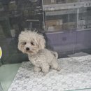 대방굴항 이미지