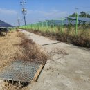 이대연 행정사 이미지