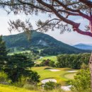 지산CC (대중제) 이미지