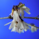 난우중학교 이미지