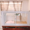 스프링그루밍 이미지