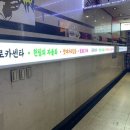 빛카센타 이미지