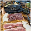 맛돼지 이미지
