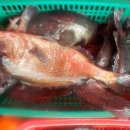 만석펜션 이미지