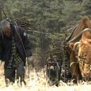 워낭소리 이미지