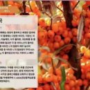 은하생활용품 이미지
