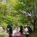 제2야영장 이미지