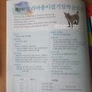 한국종이접기학원 이미지