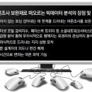 샤이스토리 이미지