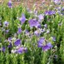 인천대공원(정문) 이미지