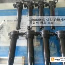 카맨삽 이미지