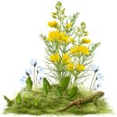 우리마음병원 이미지