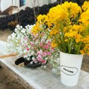 제주마중in판포 이미지