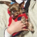 행복을다리는집 이미지