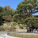 중부-현장-중부-278 | 단풍명소 화담숲 친정엄마랑 아이랑 유모차대여 없는 이유를 알겠어요...