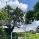 한물목장 이미지