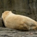 바디퍼포먼스짐 이미지