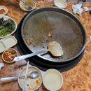솔개미 이미지
