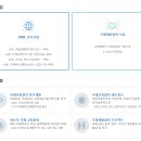 국제컨설팅 이미지