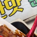 동백꽃식당 | 2026년 서천동백꽃쭈꾸미축제 리얼후기!🐙💜 [국내 봄여행지 추천/ 축제 주차/ 알배기쭈꾸미 축제 식당 추천]