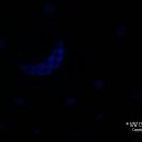 퍼플클라우드 이미지