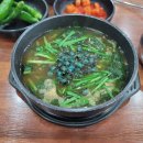 금강올갱이 이미지