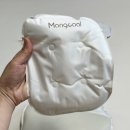몽쿨 유모차 쿨시트 / 몽쿨 휴대용 선풍기 내돈내산 사용후기 feat.잉글레시나 퀴드3
