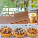 <무안 카페> 카페플로라53 타르트에 반하고 비밀의 화원에서 힐링한 후기 [옥찌로그]