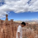 점리마을 | 🇺🇸 미국 서부 LA 여행 10박12일 일정표, 경비 총정리(샌프란시스코, 라스베가스)