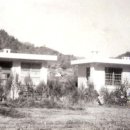 오리초등학교 이미지