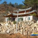 김을환 농장 Daum카페