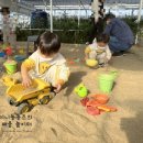 포시즌농장 이미지