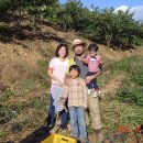 김영태농장 이미지