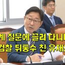 박범계 질문에 끌려 다니다가 군 검찰 뒤통수 친 유재은 이미지