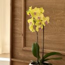 봉곡동397 이미지