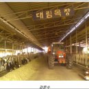 대림목장 이미지