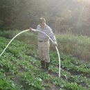 농부사랑 이미지