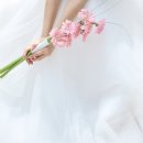 [결혼준비/스튜디오 촬영] 구호 스튜디오 촬영 소품 후기 웨딩 케이크 까르띠에 씨드링 지미추 구두