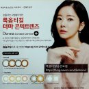 성북콘택트렌즈 이미지