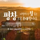 발왕산 관광케이블카 코스 이미지