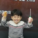 용인대석사비호태권도장 이미지