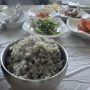 포항시북구90 | 포항 장성동 평원숯불갈비 돌솥밥 후기, 점심 저녁 모두 좋은 현지인맛집