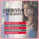 신데렐라가되는시간 이미지
