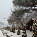 영월스키 | ❄️ 겨울 낭만 가득한 강원도 영월 캠핑장 BEST 5 추천 ⛺️