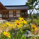 오색한옥펜션 이미지