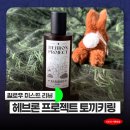 풍경속선물 | 헤브론 프로젝트 필로우미스트 대나무 향기 후기 | 선물하기 좋은 감성 향기템 추천(feat. 키링)
