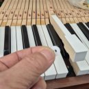 영창농장 이미지