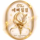 더붙임머리