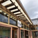 반려동물과함께하는#설렘 | 호캉스❌ 개캉스, 반려동물과 함께하는 경주 여행(보문단지, 키녹호텔)