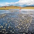 멍근멍근 이미지